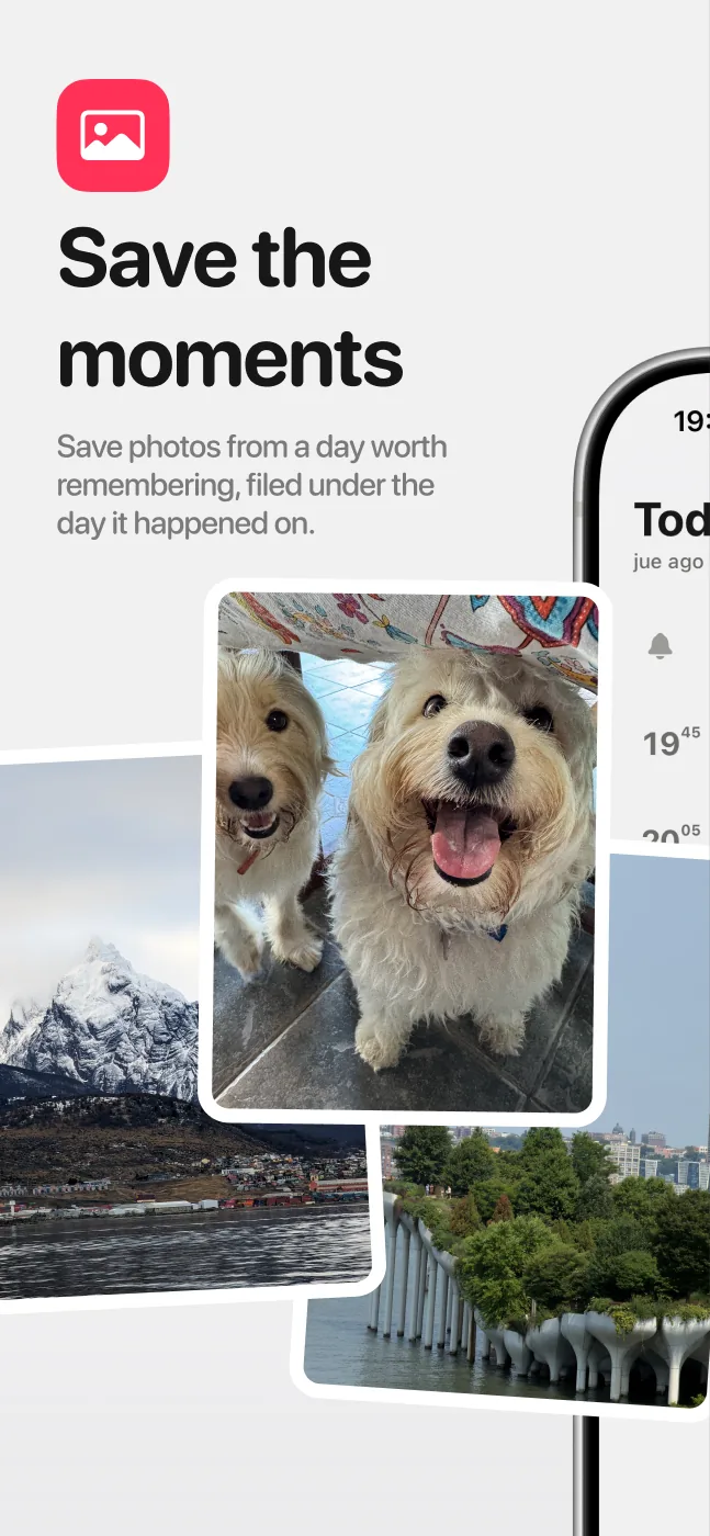 Save the moments: photos kept on the day they were taken.